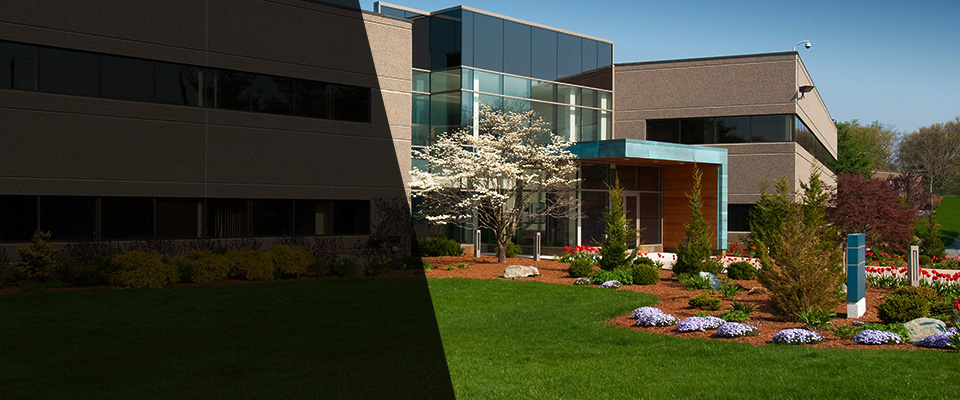 Buffalo Landscapers