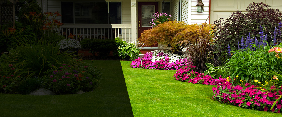 Buffalo Landscapers