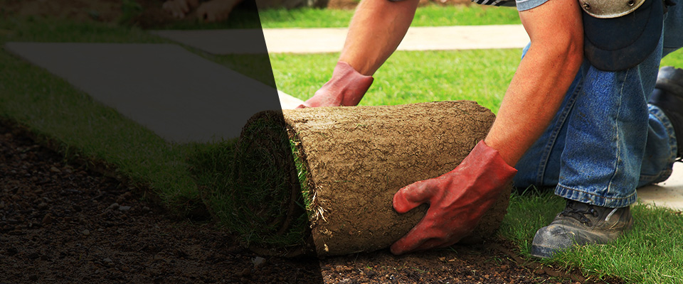 Buffalo Landscapers
